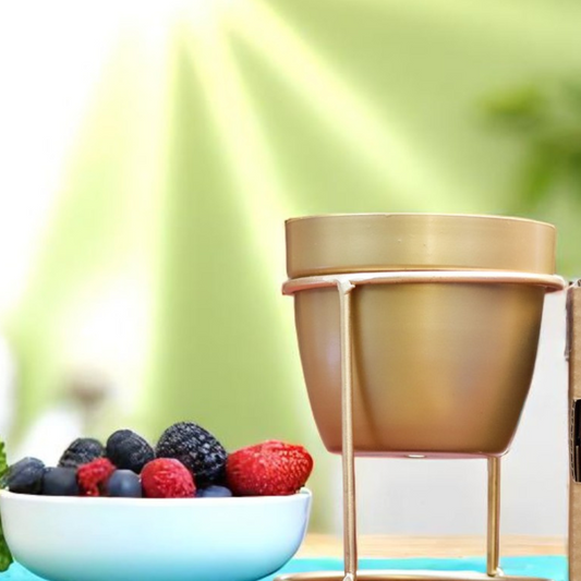 Golden Metal Planter with Gold Stand