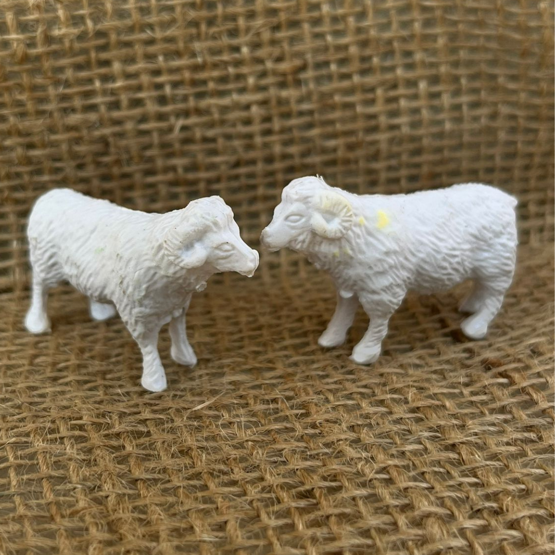 Sheep Miniature