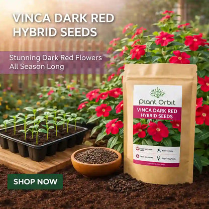 Package of Plant Orbit Vinca Dark Red Hybrid Seeds with gardening elements in the background