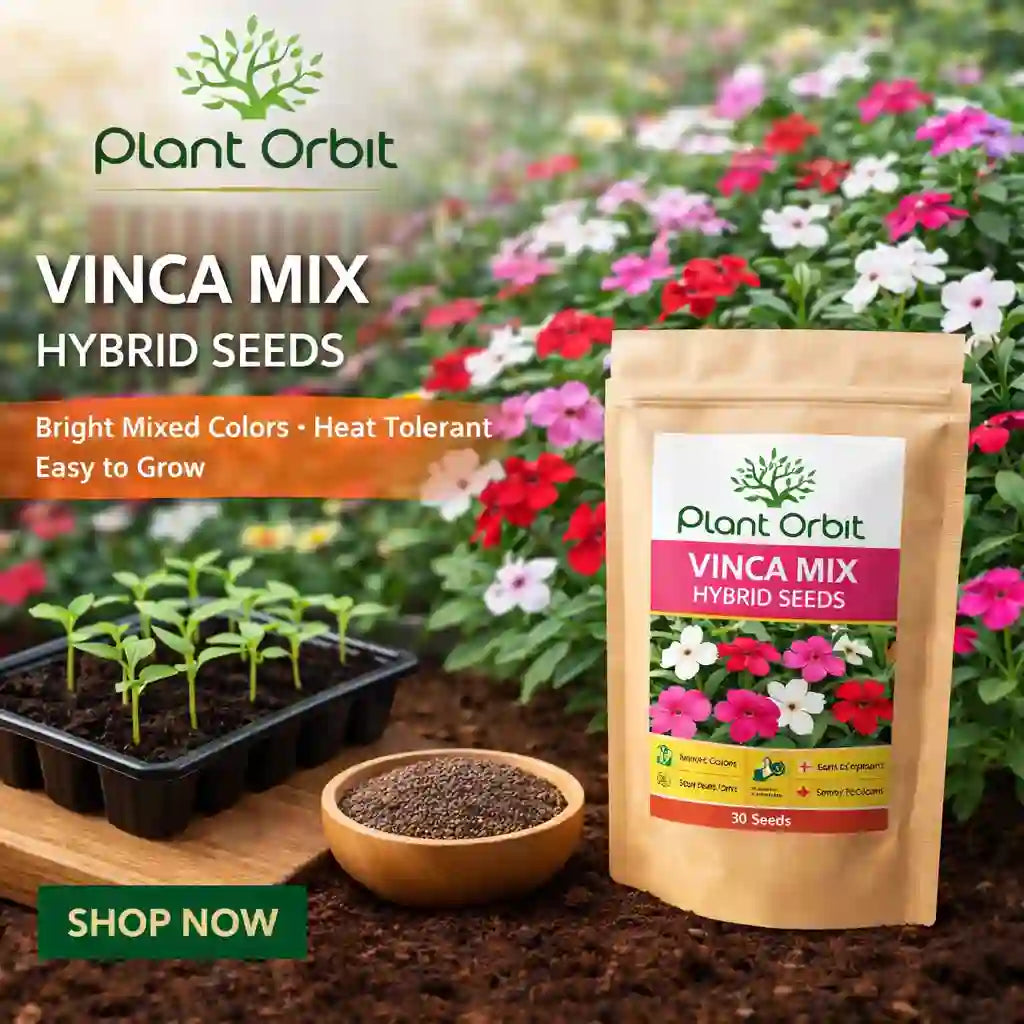 Plant Orbit Vinca Mix hybrid seeds packaging with seedlings and flowers in the background