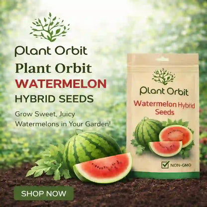 WATERMELON HYBRID SEEDS (30 seeds)