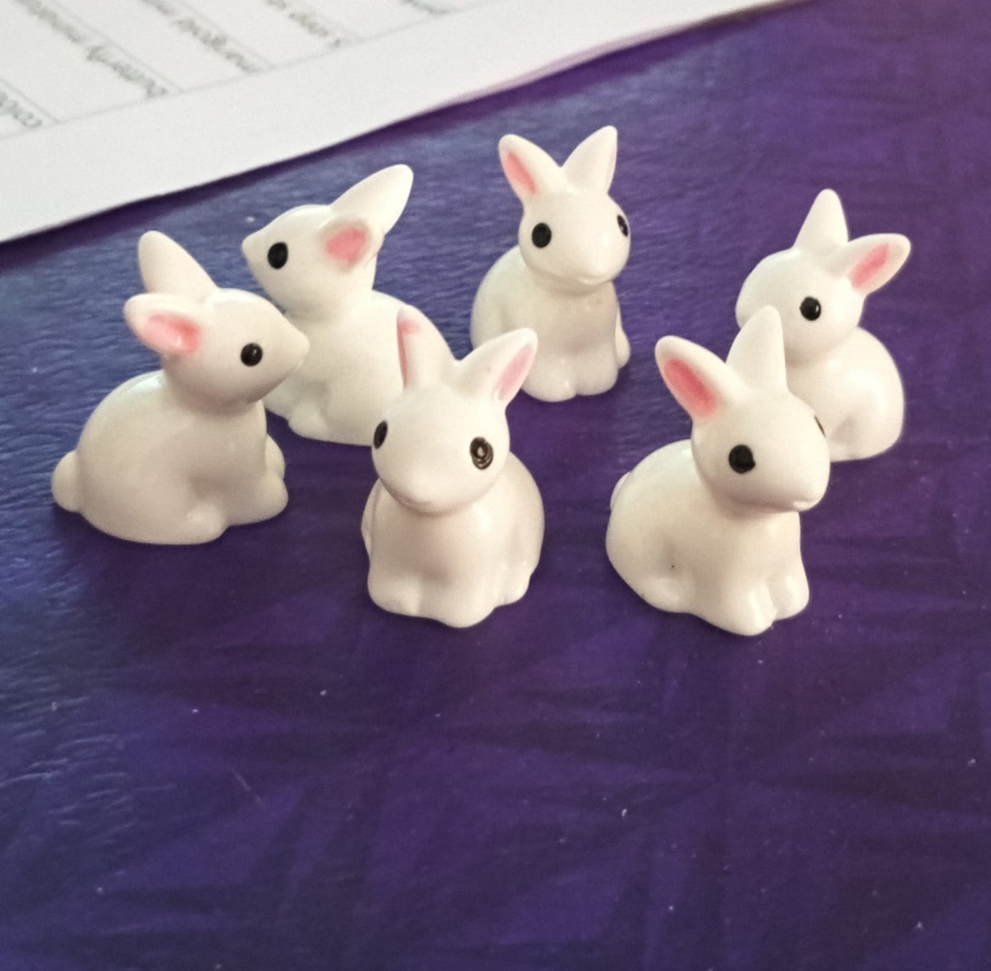 cute white rabbit miniature