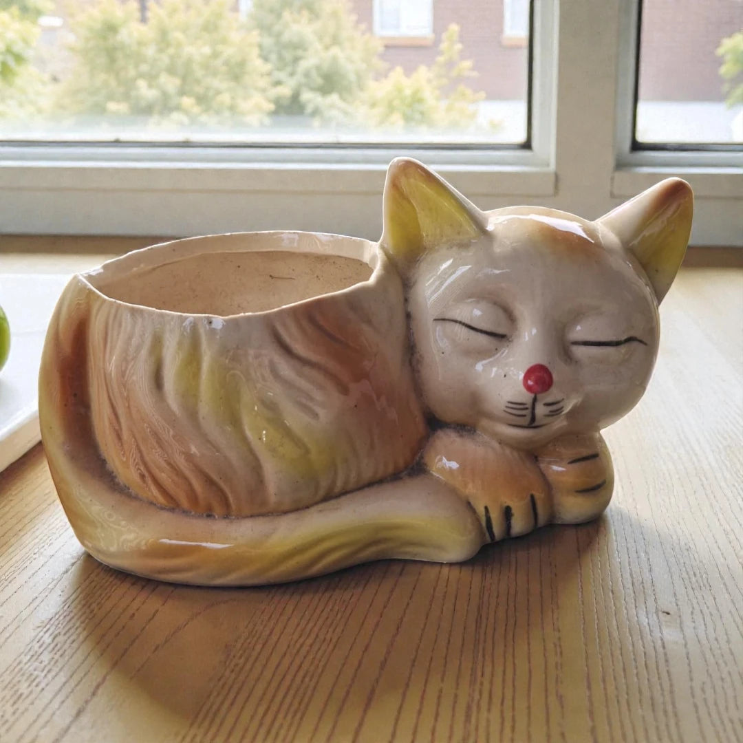 Sleeping Cat Ceramic Planter