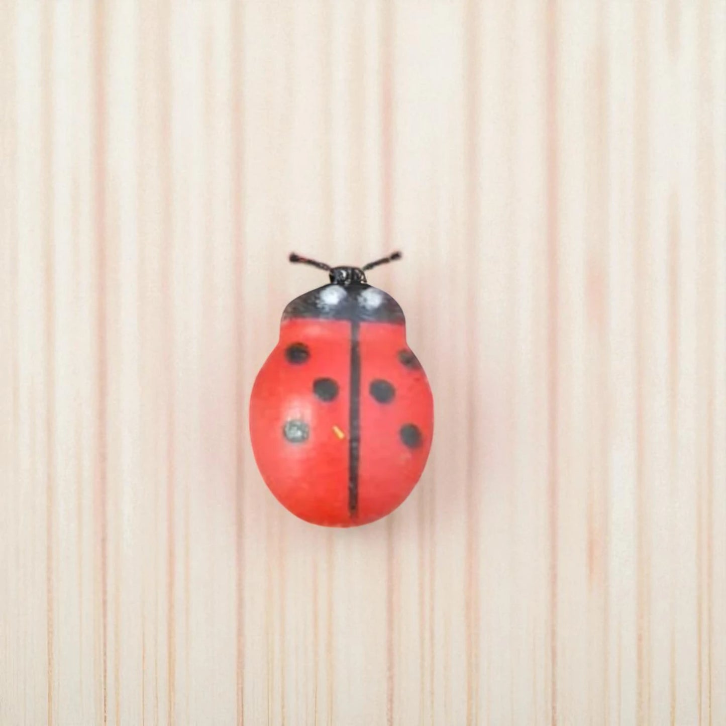 LADY BUGS MINIATURE (M-101)