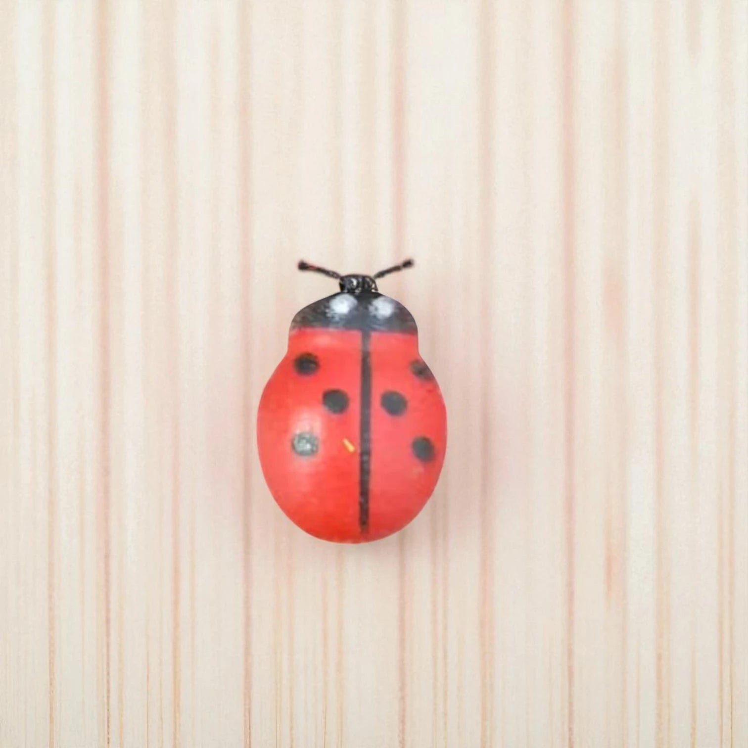 LADY BUGS MINIATURE (M-101)