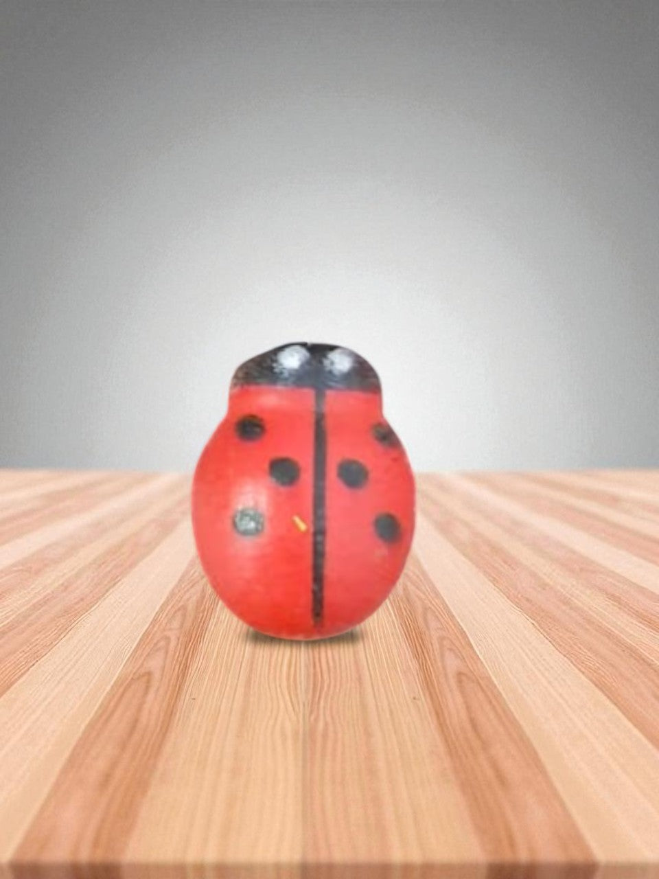 LADY BUGS MINIATURE (M-101)