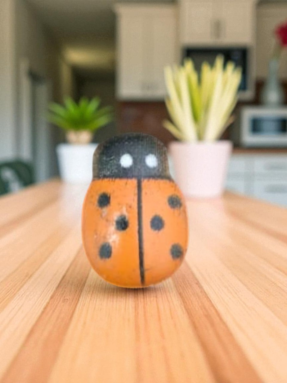 LADY BUGS MINIATURE (M-101)