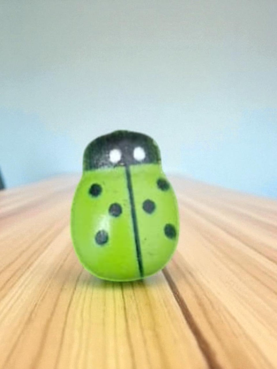 LADY BUGS MINIATURE (M-101)
