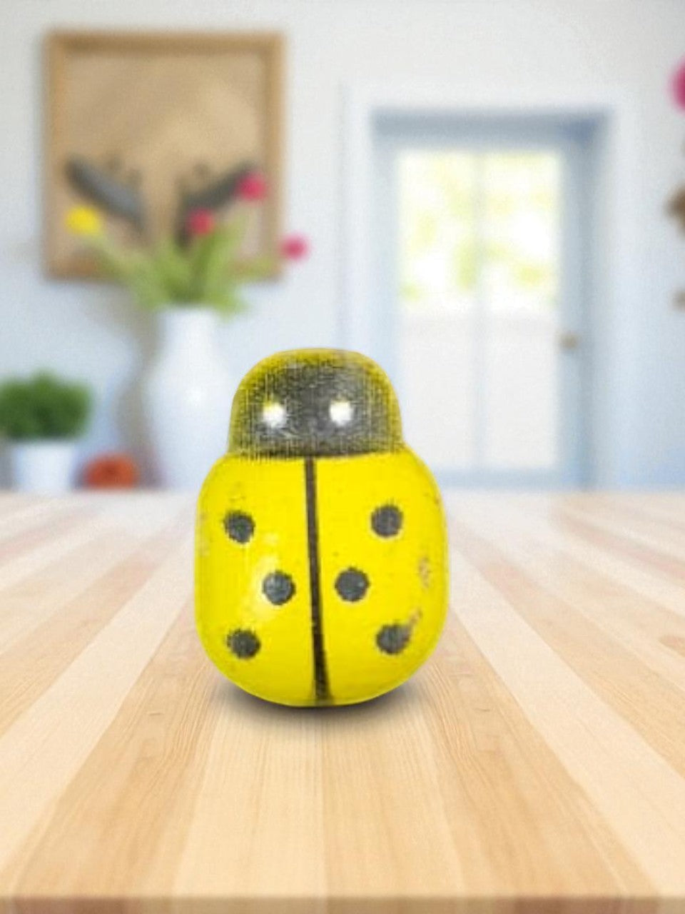 LADY BUGS MINIATURE (M-101)