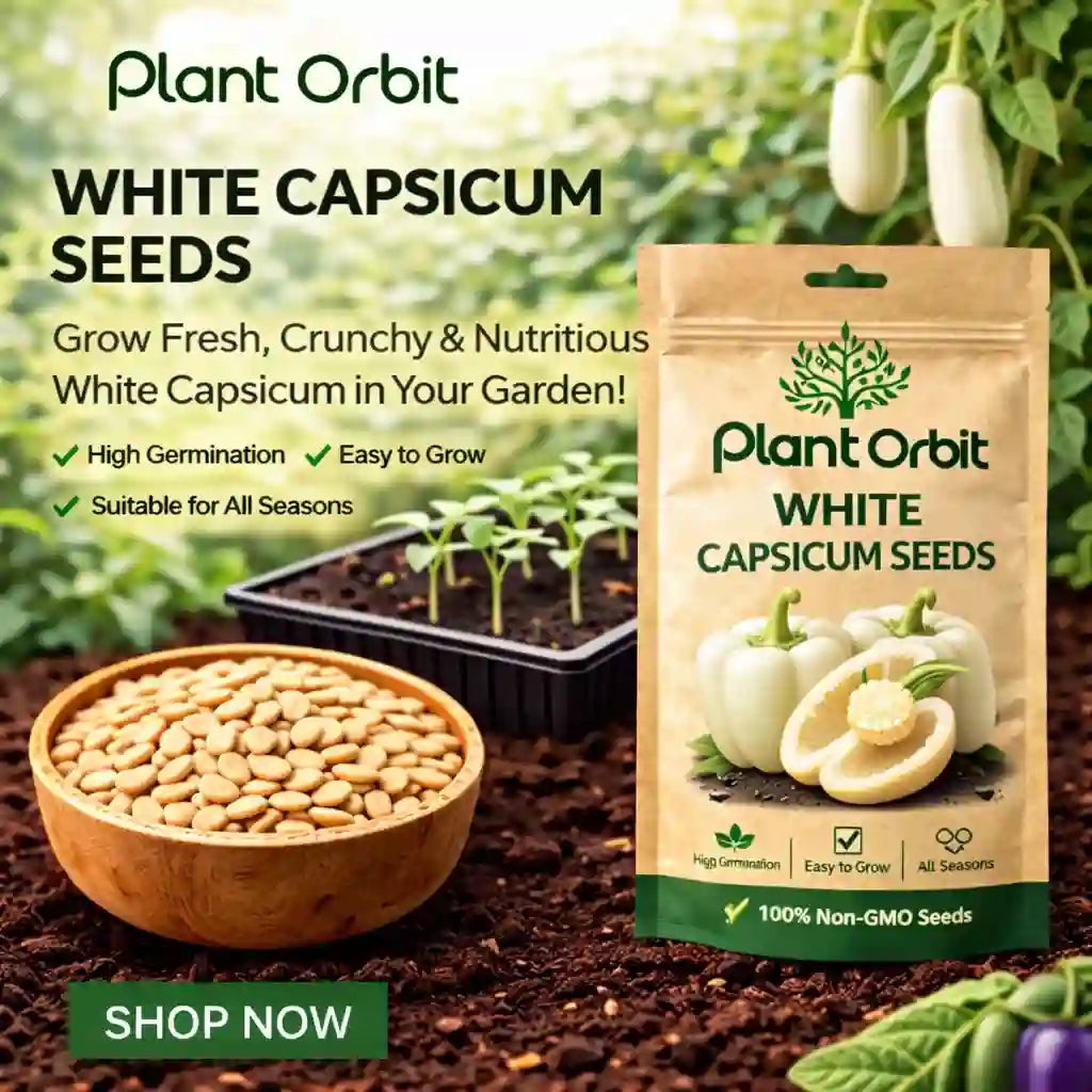 Plant Orbit White Capsicum Seeds packaging with seeds and plants in the background