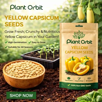 Plant Orbit Yellow Capsicum Seeds packaging with seeds in a bowl and growing plants in the background.