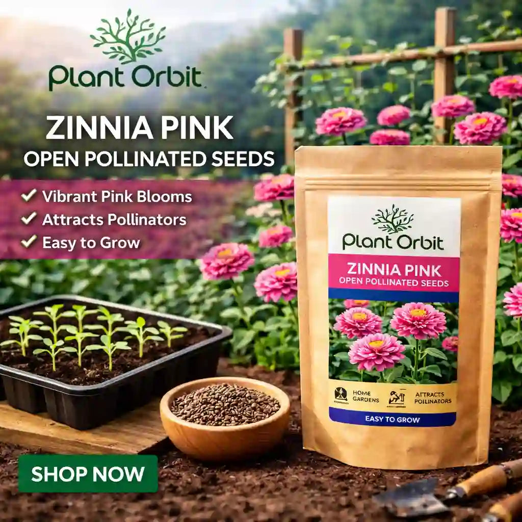 Plant Orbit Zinnia Pink seeds packaging with gardening elements and flowers in the background