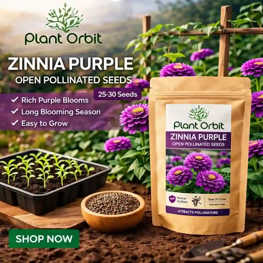 Zinnia Purple seeds packaging with planting materials and garden background