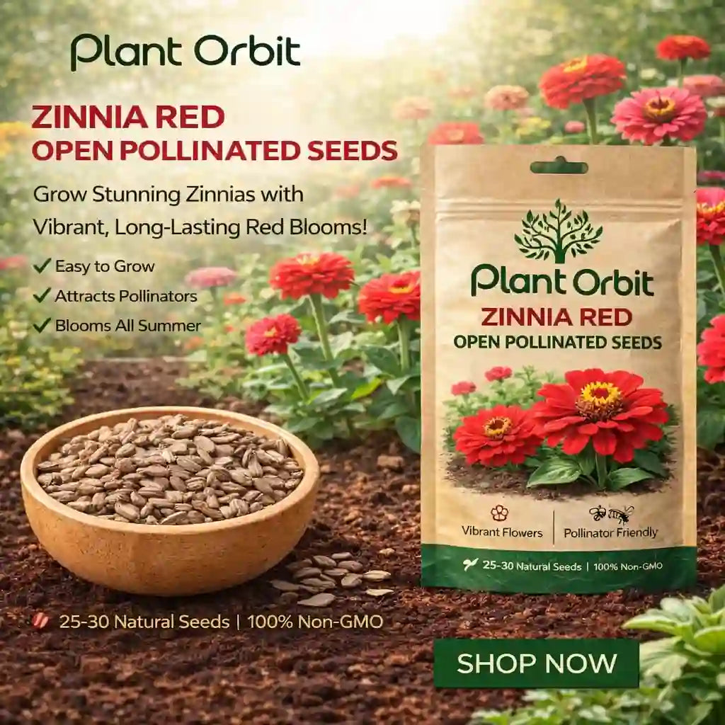 Plant Orbit Zinnia Red seeds packaging with seeds in a bowl and flowers in the background