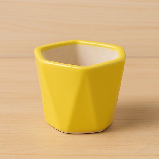 Mustard Yellow colour Hexa Ceramic Planter