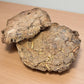 Cow dung Powder (50g)