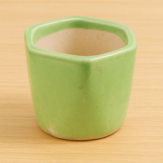 Light Green Hexa Ceramic Planter