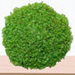 Small Green Pebbles (25 g)
