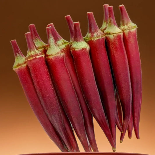 LADY FINGER RED HYBRID SEEDS (15 seeds)