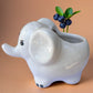 Elephant Ceramic Planter White