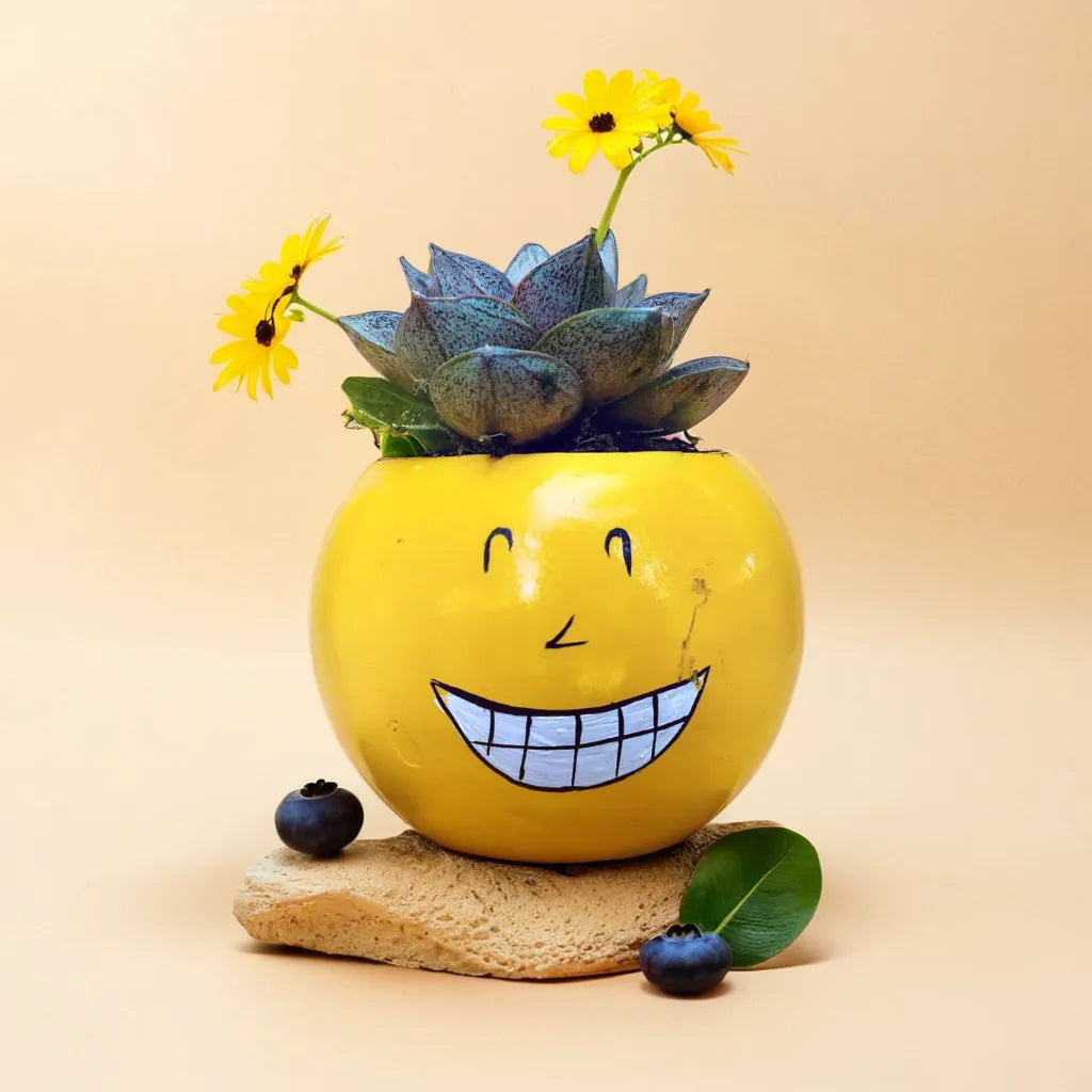 Emoji Planter #2