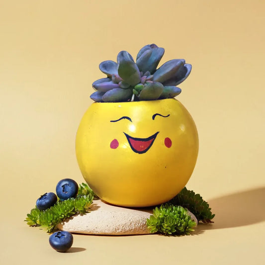 Emoji Planter #5
