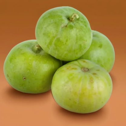 Indian Squash/ Tinda Hybrid Seeds