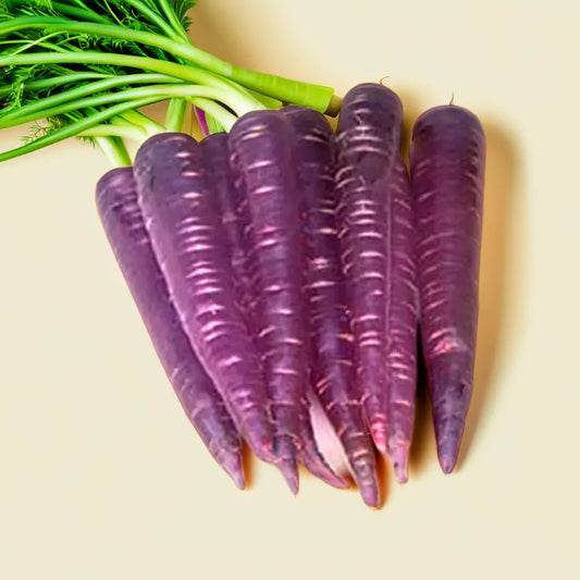 CARROT- BLACK HYBRID SEEDS (50 seeds)