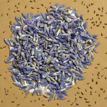 LAVENDER HYBRID SEEDS (30-40 seeds)