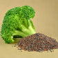 LETTUCE GREEN HYBRID SEEDS (40-50 seeds)