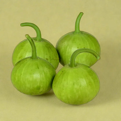 Bottle Gourd Louki Round Hybrid Seeds