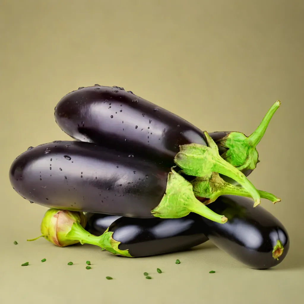 BRINJAL (LONG) HYBRID SEEDS (50 seeds)