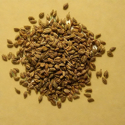 OREGANO HYBRID SEEDS (50 seeds)