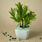 Artificial Plant Green