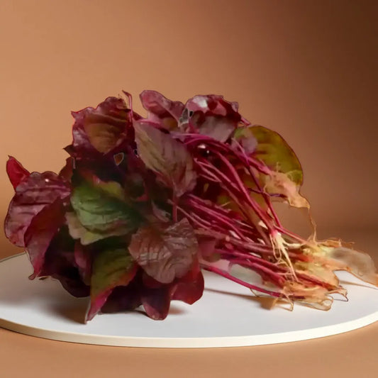 RED SPINACH HYBRID SEEDS (200 seeds)