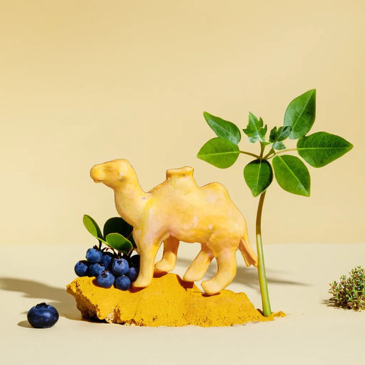 Camel Miniature