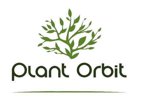 Alt text: "Plant Orbit logo - Indoor plants for home with a focus on varieties, benefits, and care. Green branch illustration representing a range of indoor plant options, promoting a healthier home environment through plant selection and proper care."