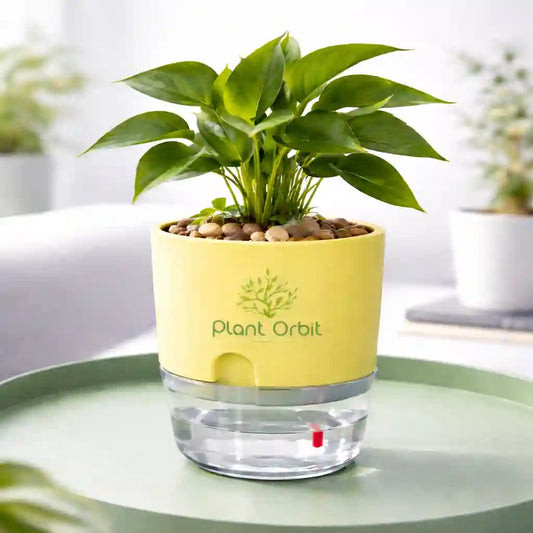 plant orbit self watering pot 