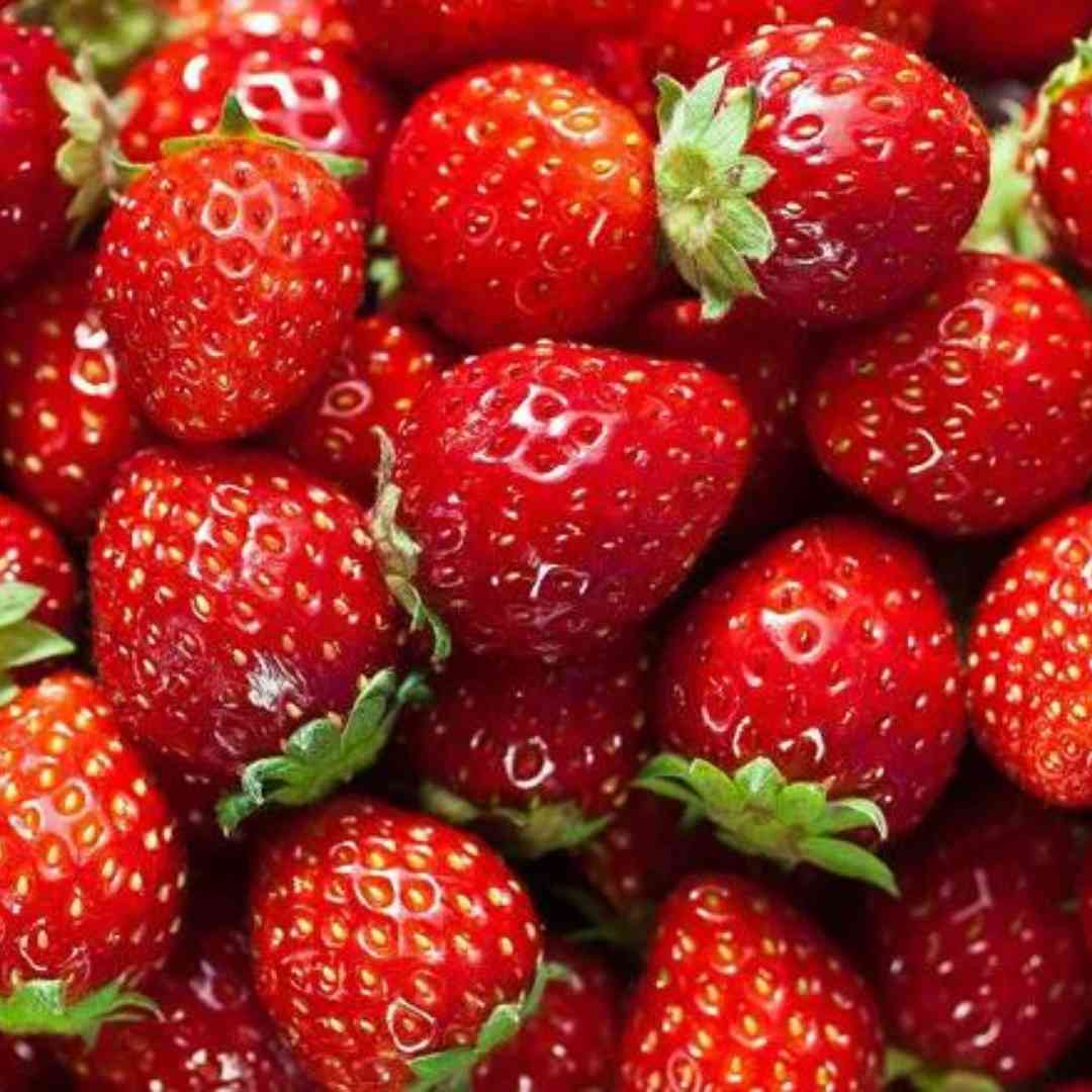 STRAWBERRY HYBRID SEEDS (100 seeds)