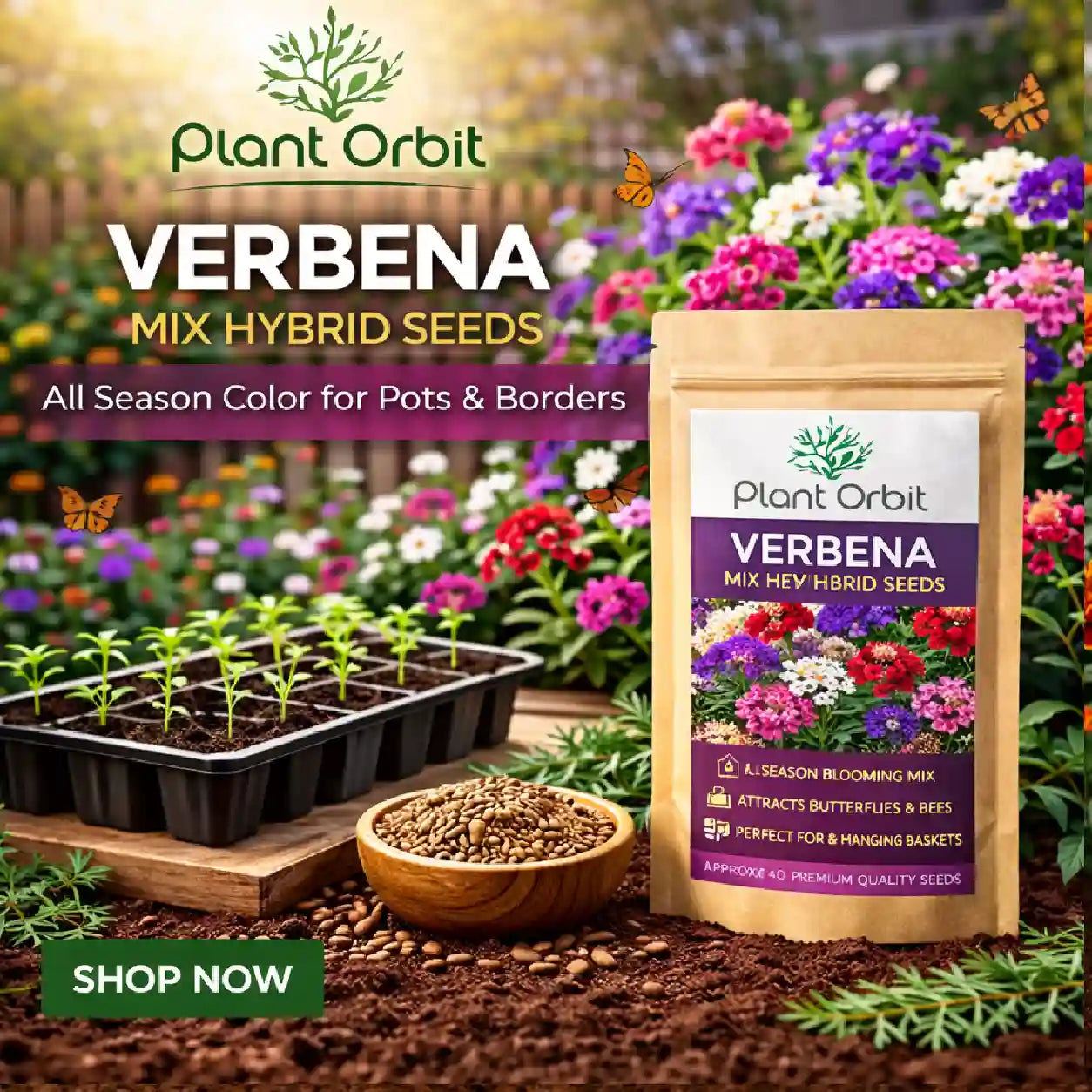 verbena mix seeds