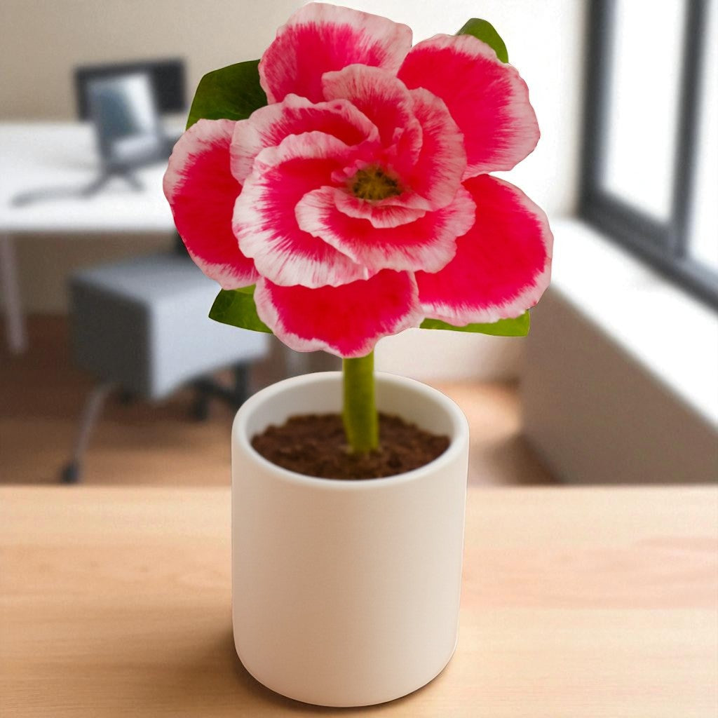 Adenium R232