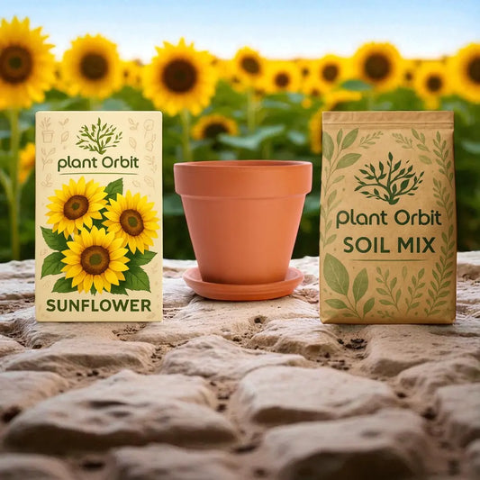 Sunflower Growing Kit (Seeds + Soil Mix + Coir Pot)