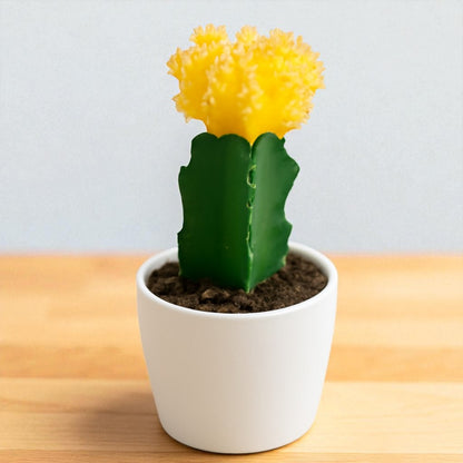 YELLOW MOON CACTUS (BARE ROOTED)