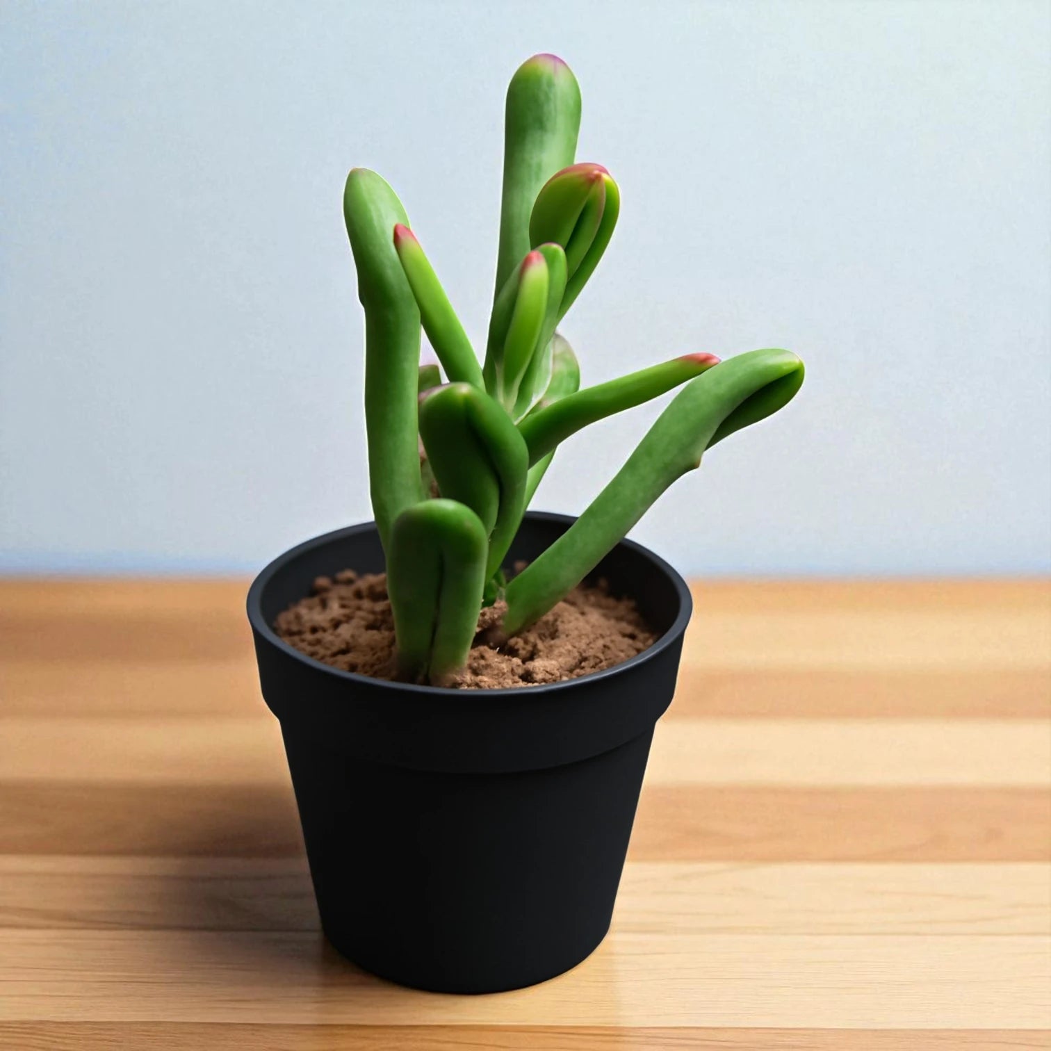Variegated Gollum