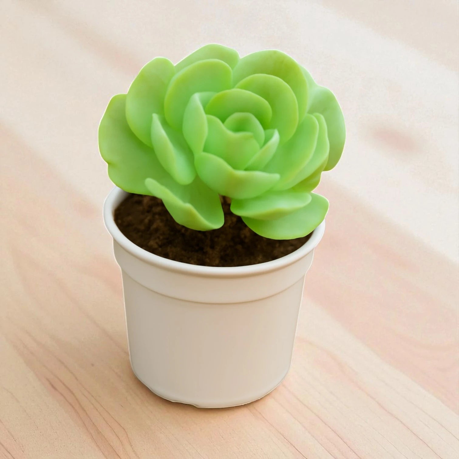 pallida succulent Echeveria Pallida Succulents Plant Online In India