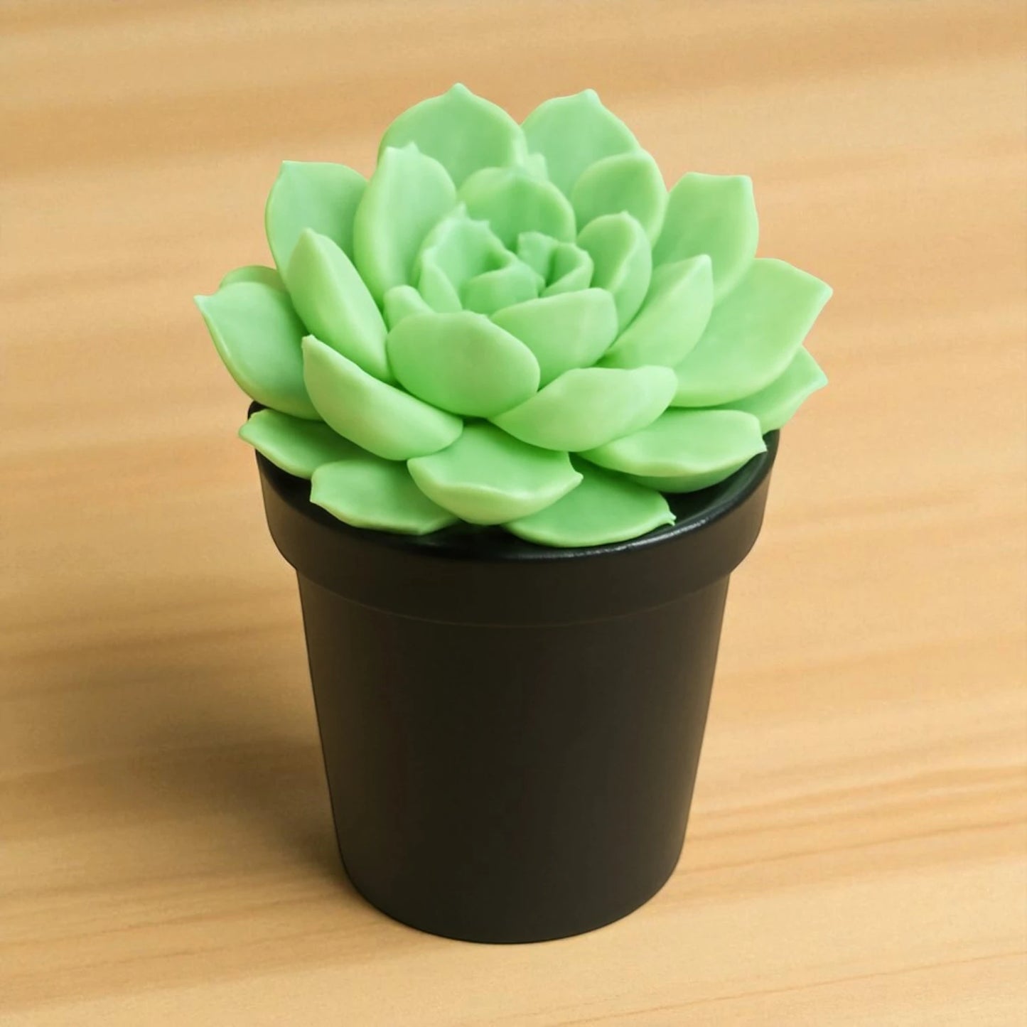 Echeveria 'Holy Gate' (Bare Rooted)