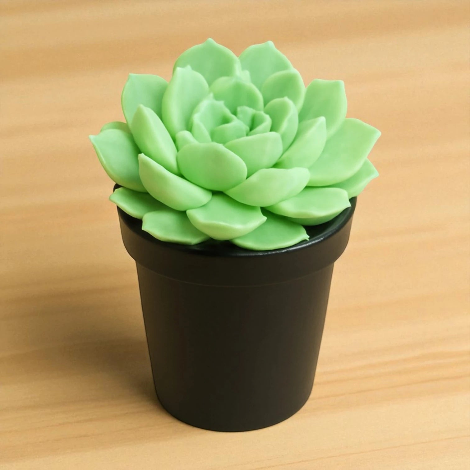 Echeveria 'Holy Gate' (Bare Rooted)