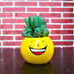 Emoji Planter #4