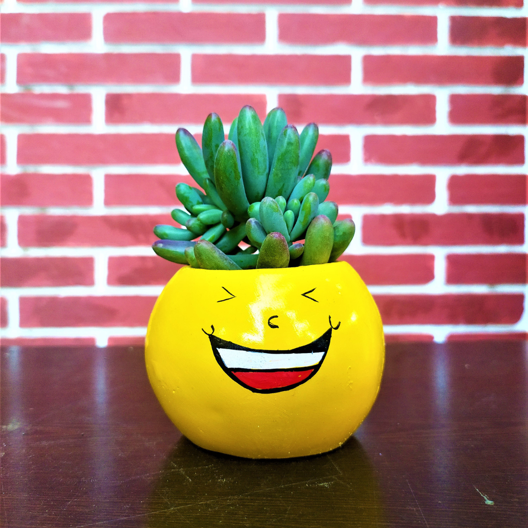 Emoji Planter #4