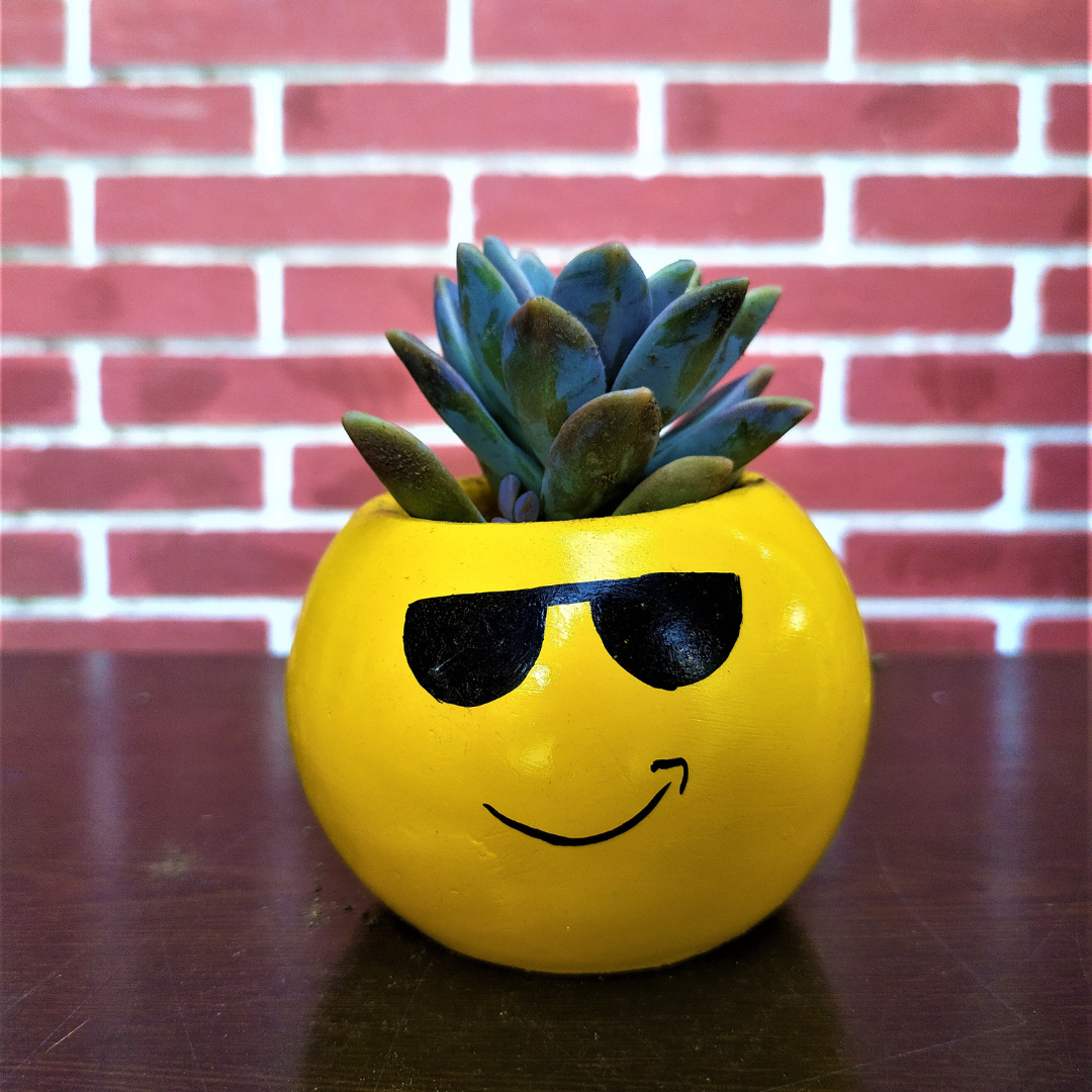 Emoji Planter #1